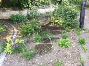 Park Street Comunity Garden May 2017