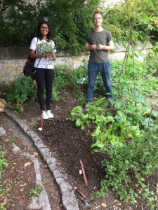 Park Street Garden July 2017